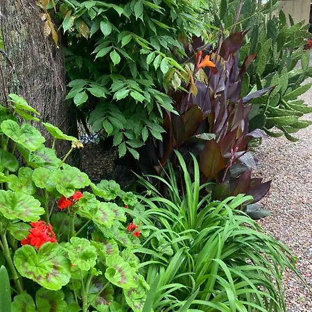 Mas De La Riviere 別荘 Villelongue-de-la-Salanque