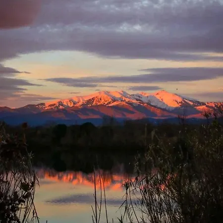 Mas De La Riviere *